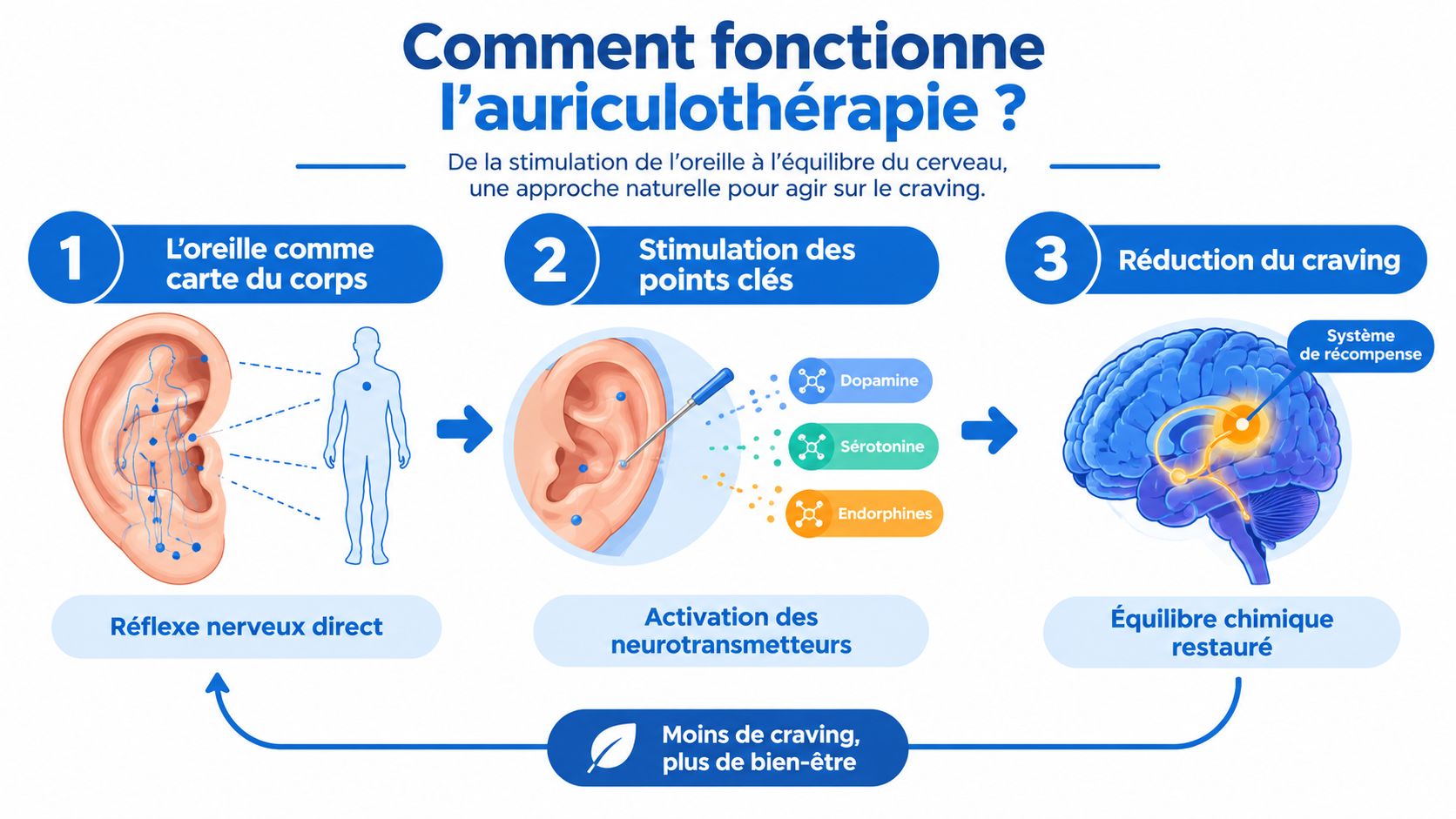 Infographie explicative montrant le fonctionnement de l'auriculothérapie pour réduire le craving par la stimulation de l'oreille.