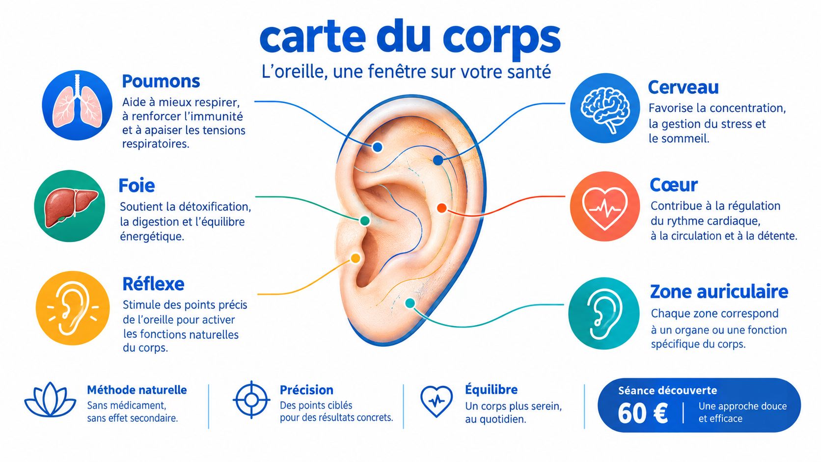 Carte du corps illustrant les points de réflexologie auriculaire pour améliorer le bien-être et la santé.