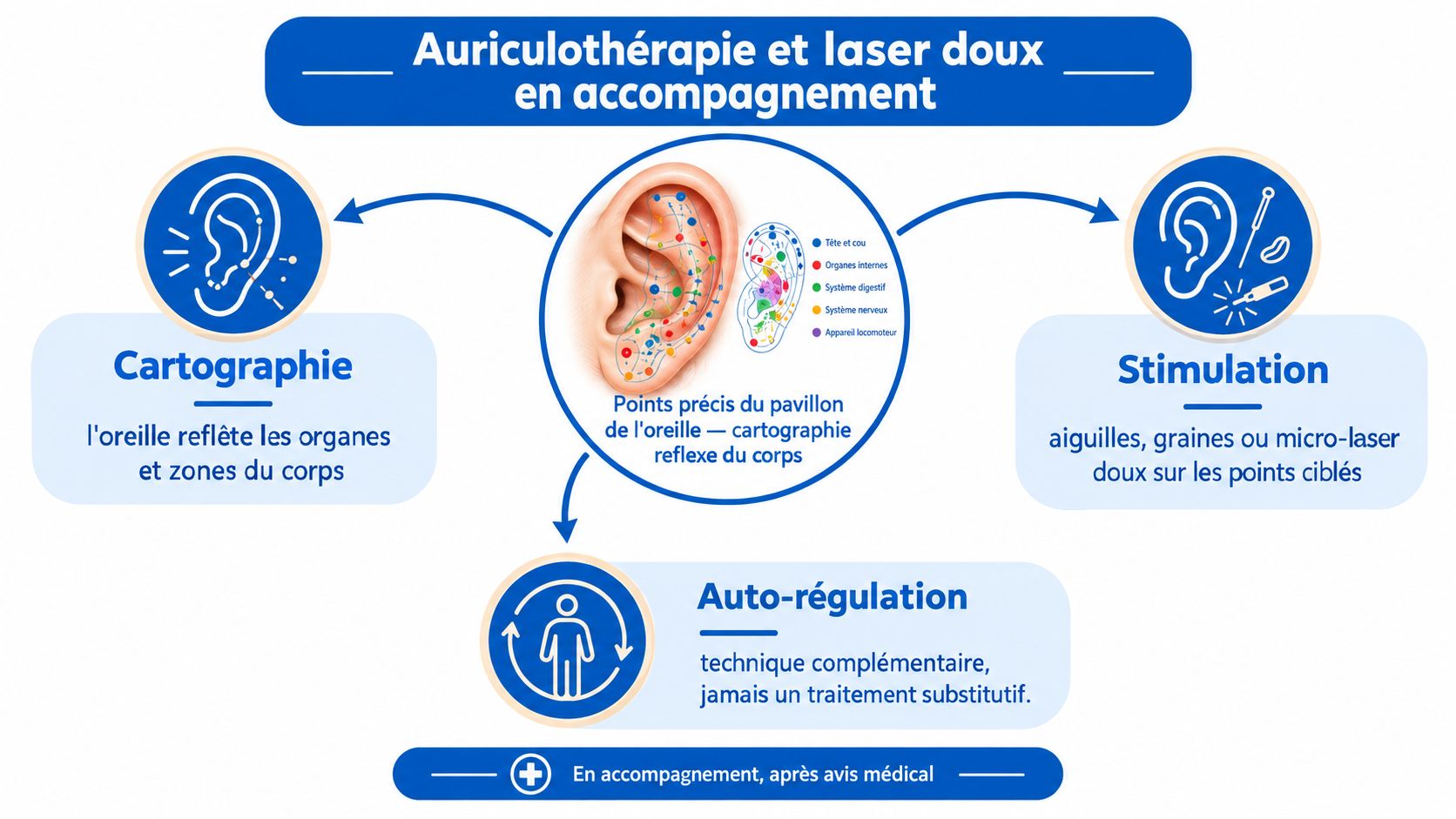 Mal de dos rein : comment faire la différence 2 Schéma explicatif de l'auriculothérapie et du laser doux comme techniques complémentaires en accompagnement thérapeutique.