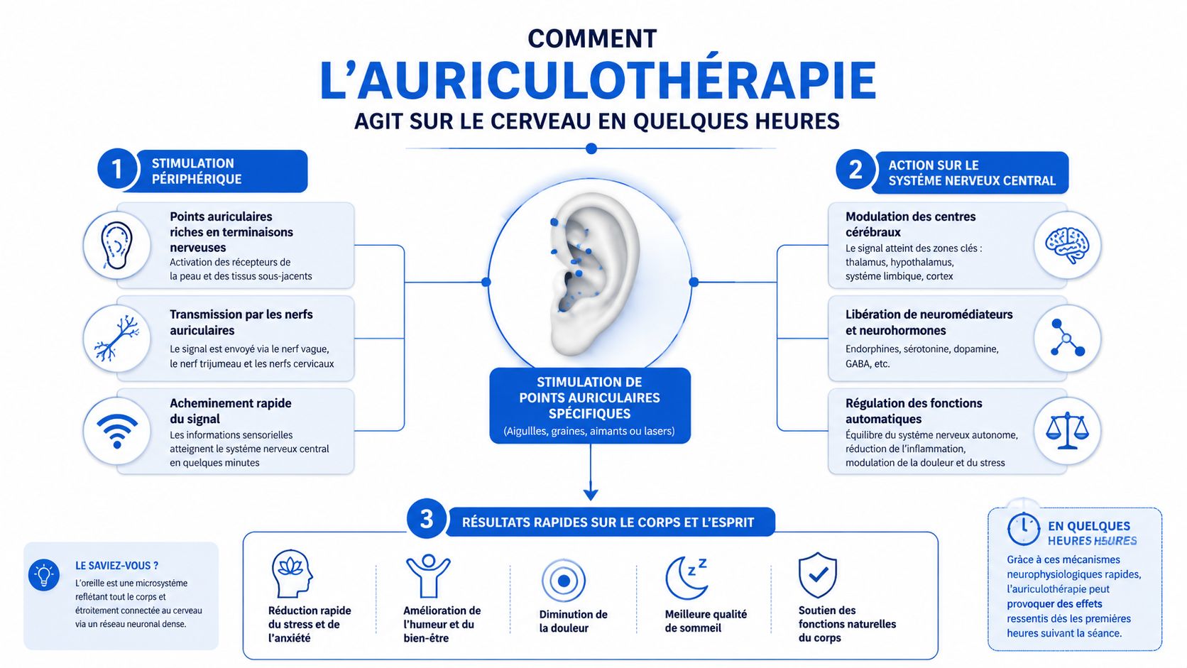 Est-ce que ça peut réduire rapidement les envies de fumer ? 1 Infographie illustrant le fonctionnement neurophysiologique de l'auriculothérapie et ses effets rapides sur le corps et l'esprit.
