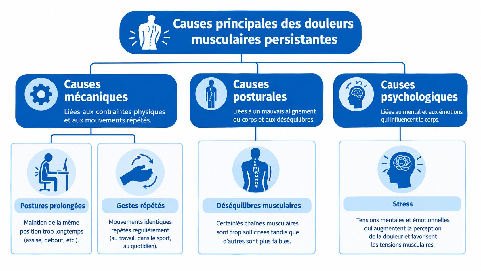 Un schéma illustrant les causes mécaniques, posturales et psychologiques des douleurs musculaires persistantes au quotidien.