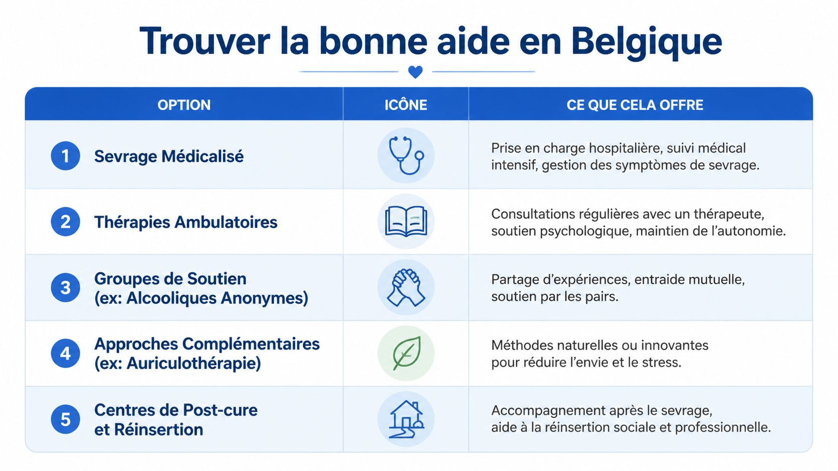 Tableau informatif présentant les différentes options de soins et d'aide pour les addictions en Belgique.