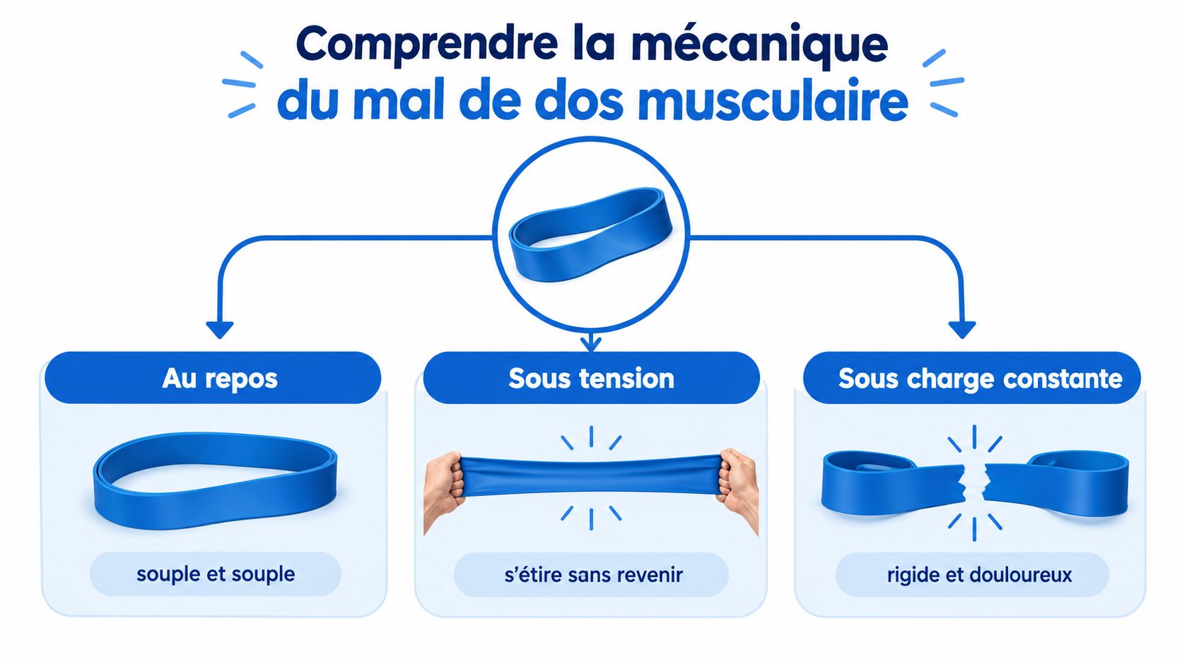 Une illustration utilisant une bande élastique pour expliquer le mécanisme du mal de dos musculaire.