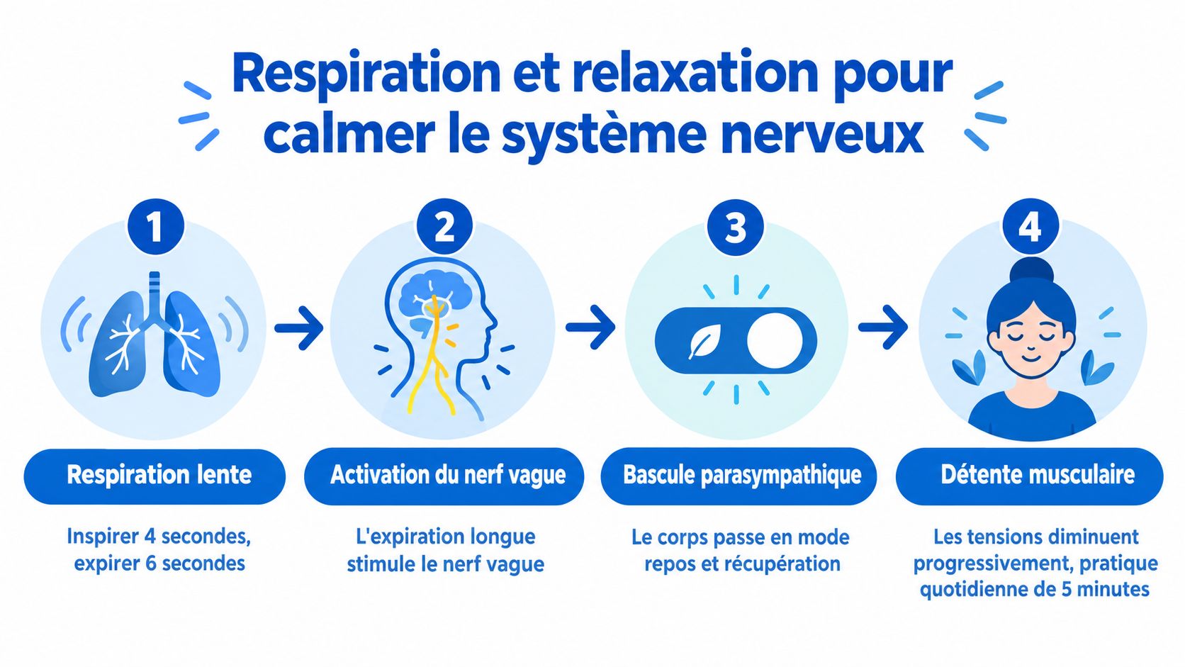 Release muscle tension : les meilleures techniques en 2026 3 Infographie illustrant quatre étapes pour calmer le système nerveux par la respiration et la relaxation musculaire.