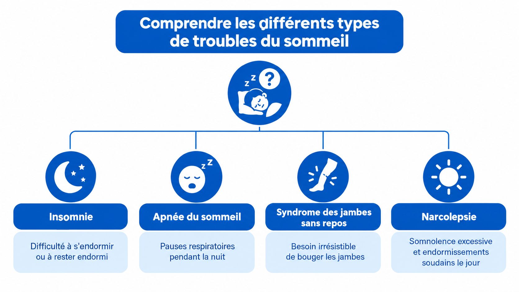 Un diagramme éducatif illustrant les principaux troubles du sommeil incluant l'insomnie, l'apnée, le syndrome des jambes sans repos et la narcolepsie.