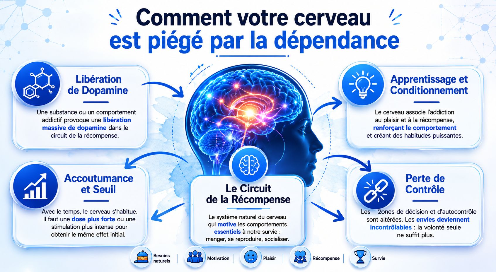 Schéma explicatif montrant comment le cerveau est piégé par la dépendance via le circuit de la récompense.
